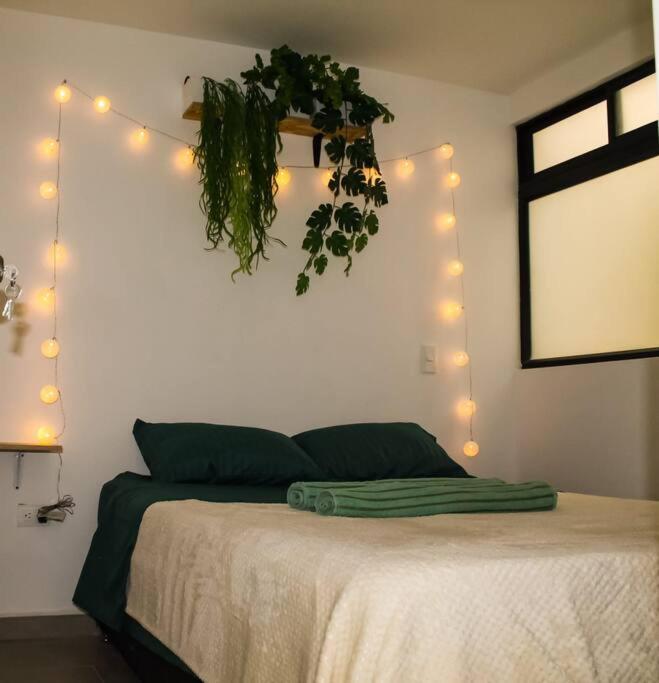 Apartment Nativo House Amplio Y Acogedo Medellin