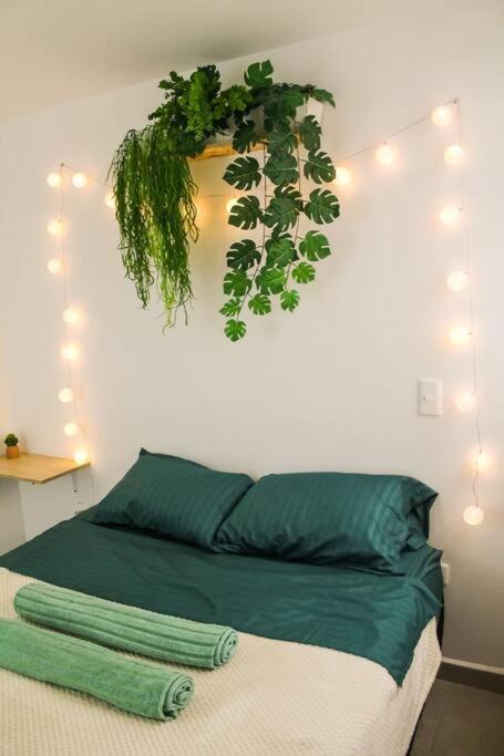 Apartamento Nativo House Amplio Y Acogedo